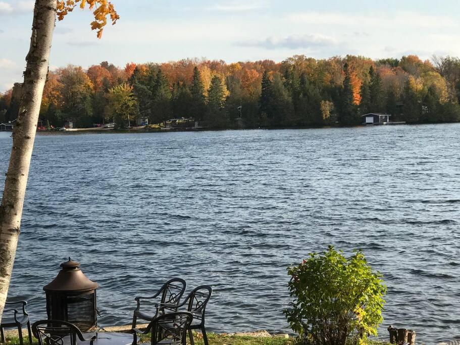 Balsam Brilliance, Modern Lake Home. Coboconk Zewnętrze zdjęcie