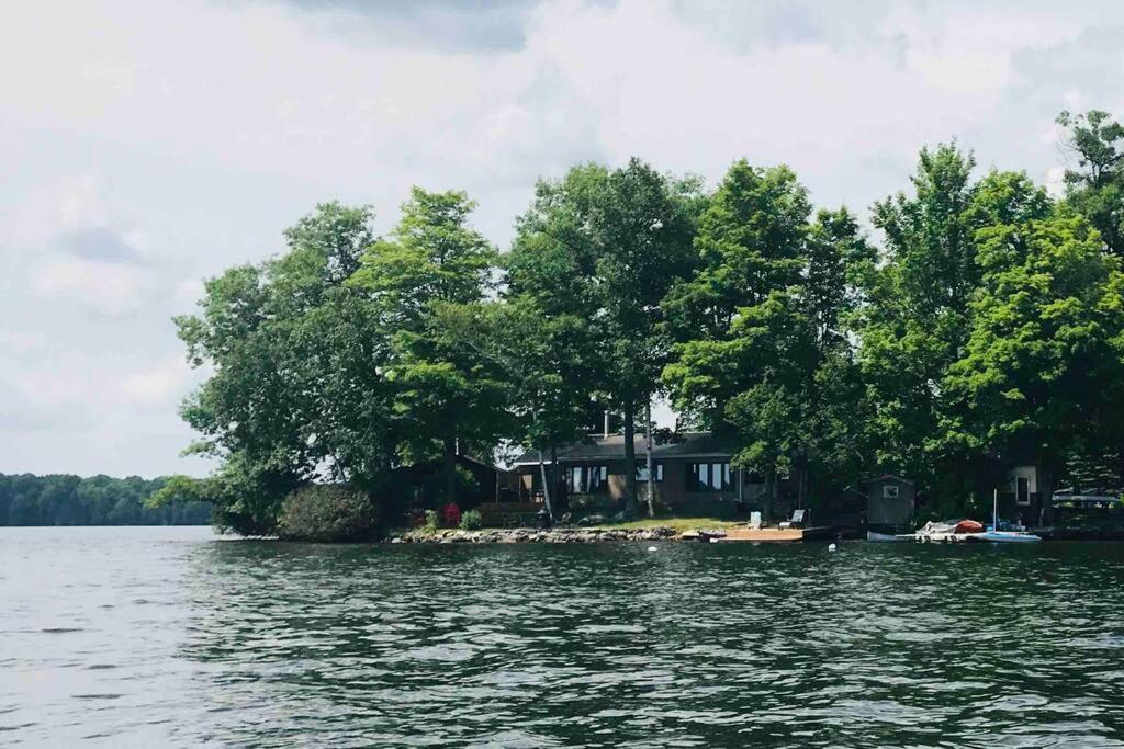 Balsam Brilliance, Modern Lake Home. Coboconk Zewnętrze zdjęcie