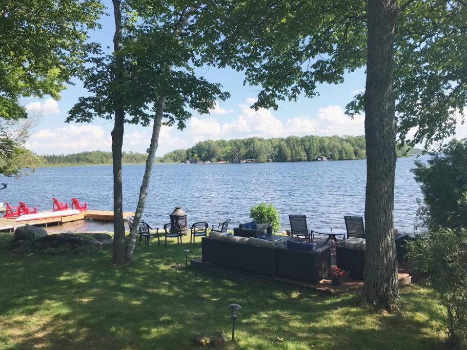 Balsam Brilliance, Modern Lake Home. Coboconk Zewnętrze zdjęcie